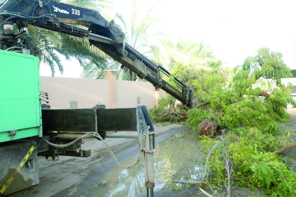 إزالة سريعة للمخلفات بين المنازل