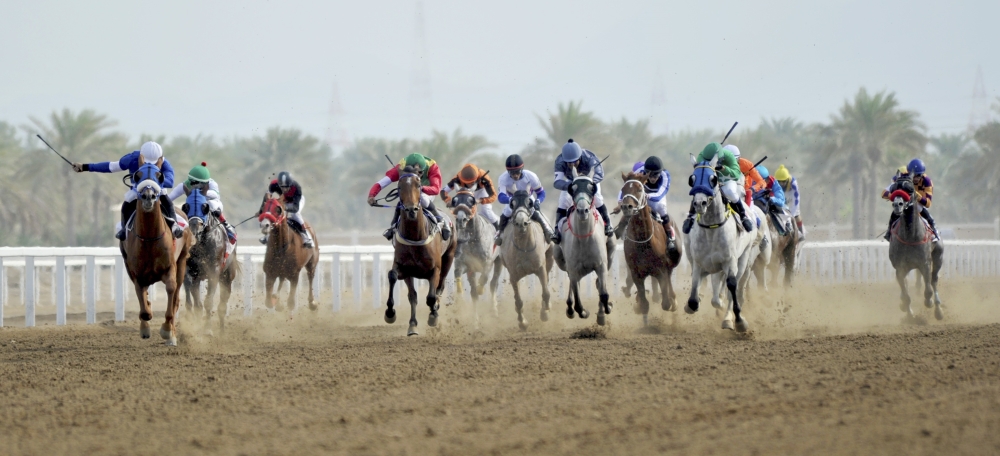 من سباقات الخيل الموسم الحالي