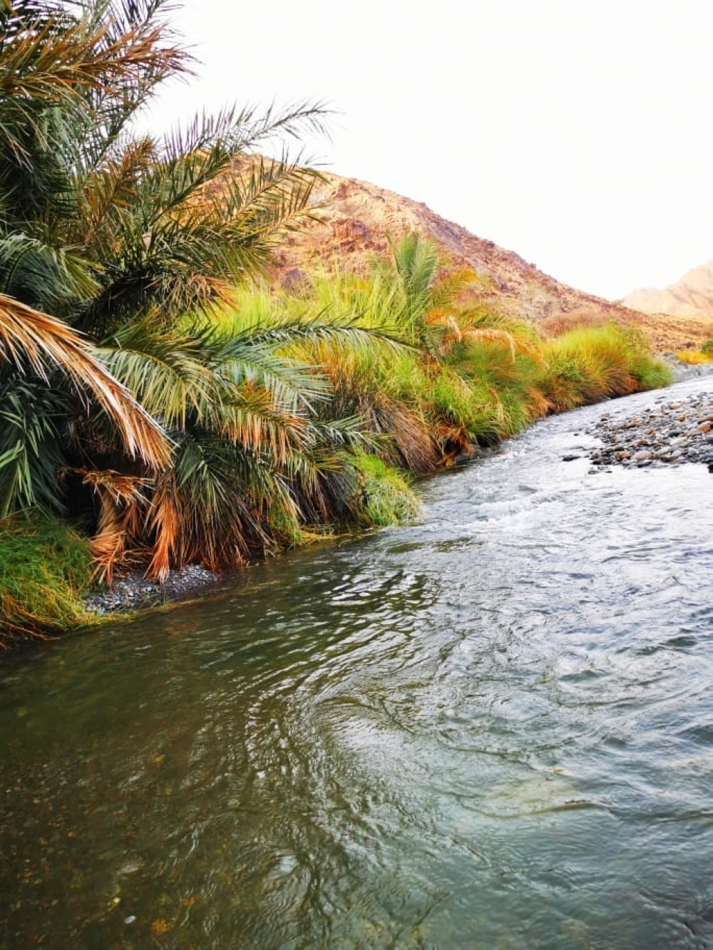 الامطار يظهر صفاء الماءلاستمرار