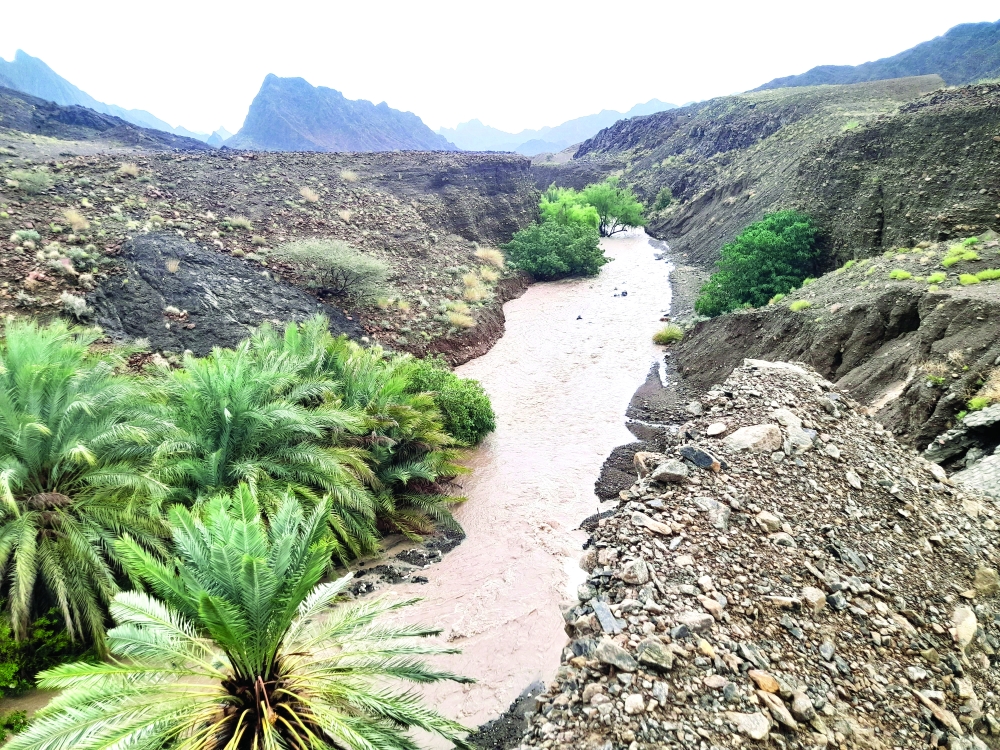 جريان وادي الخنابشة 