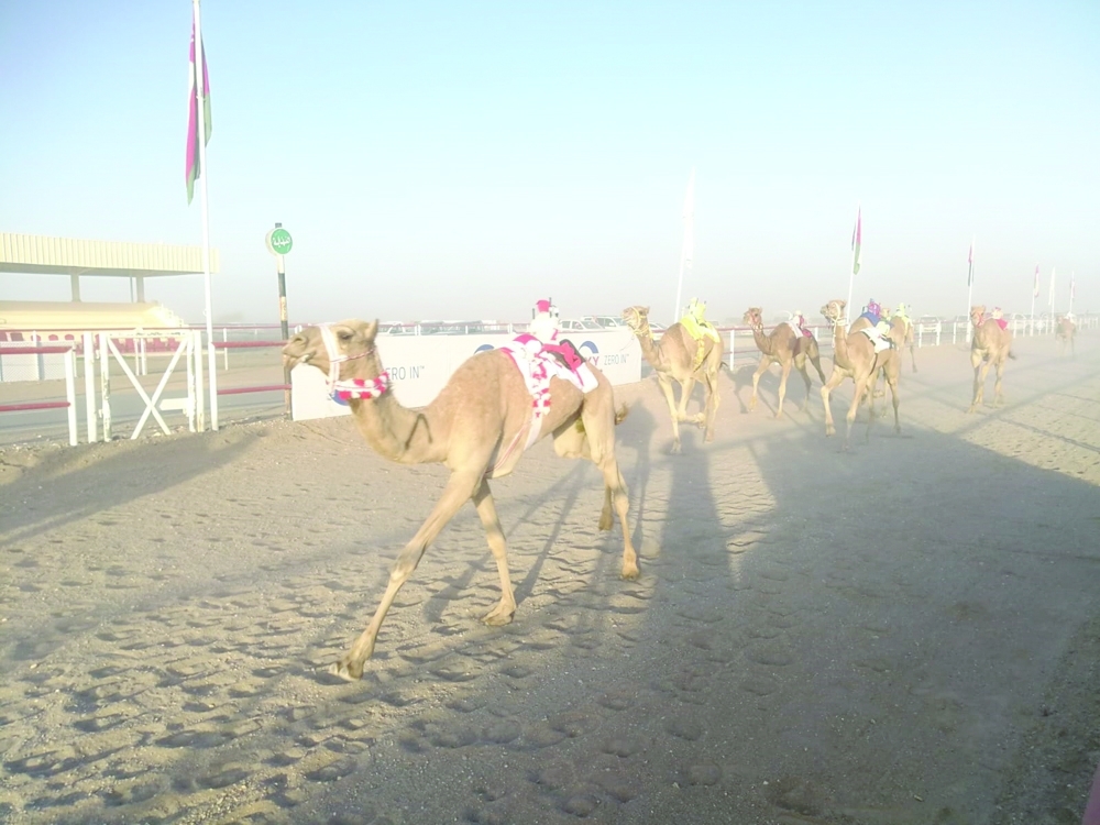 من منافسات السباق