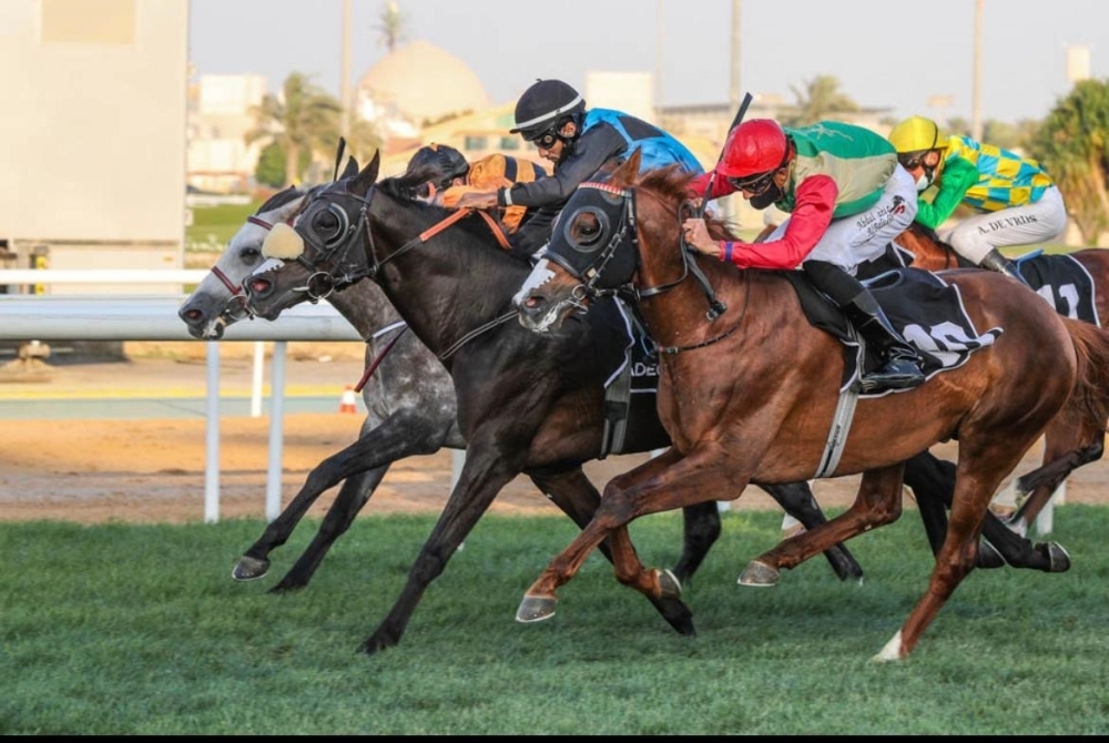 من مشاركة الحصان الثراء في السباق