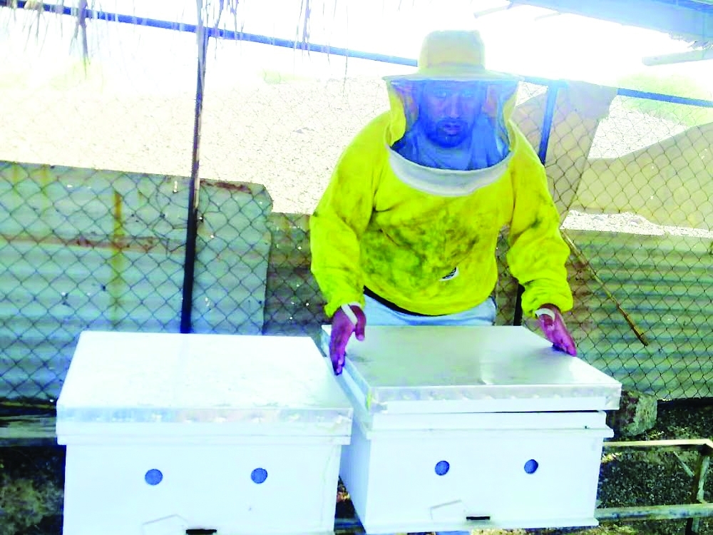 Image:عسل &quot;أبو طويق&quot;..طلب متزايد وأسعار مرتفعة