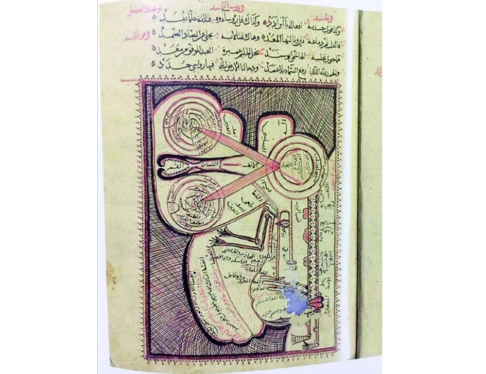 Image:راشد بن عميرة