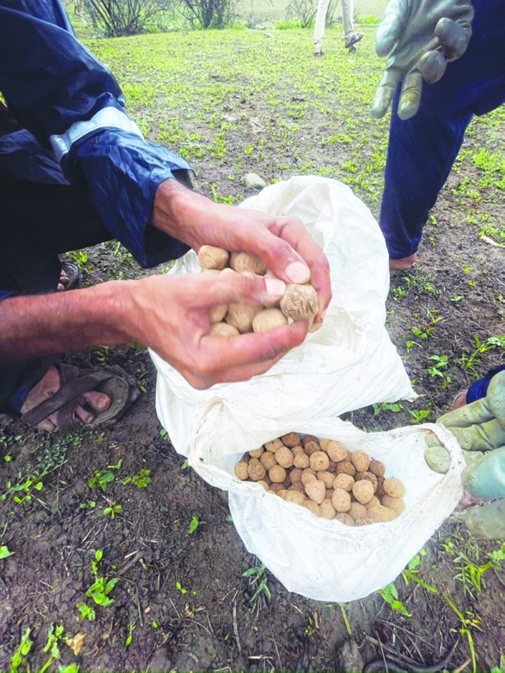 WhatsApp Image 2024-06-26 at 11.39.39 AM