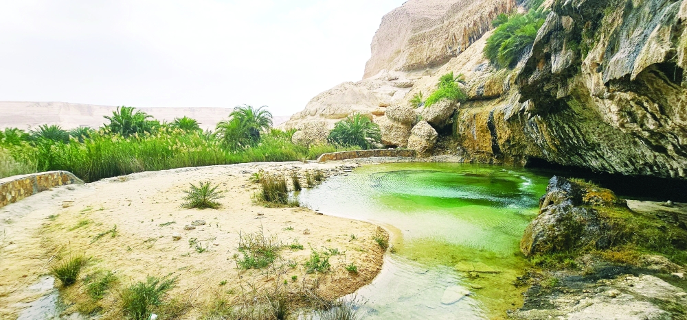 عين غرير في نيابة الشويمية 