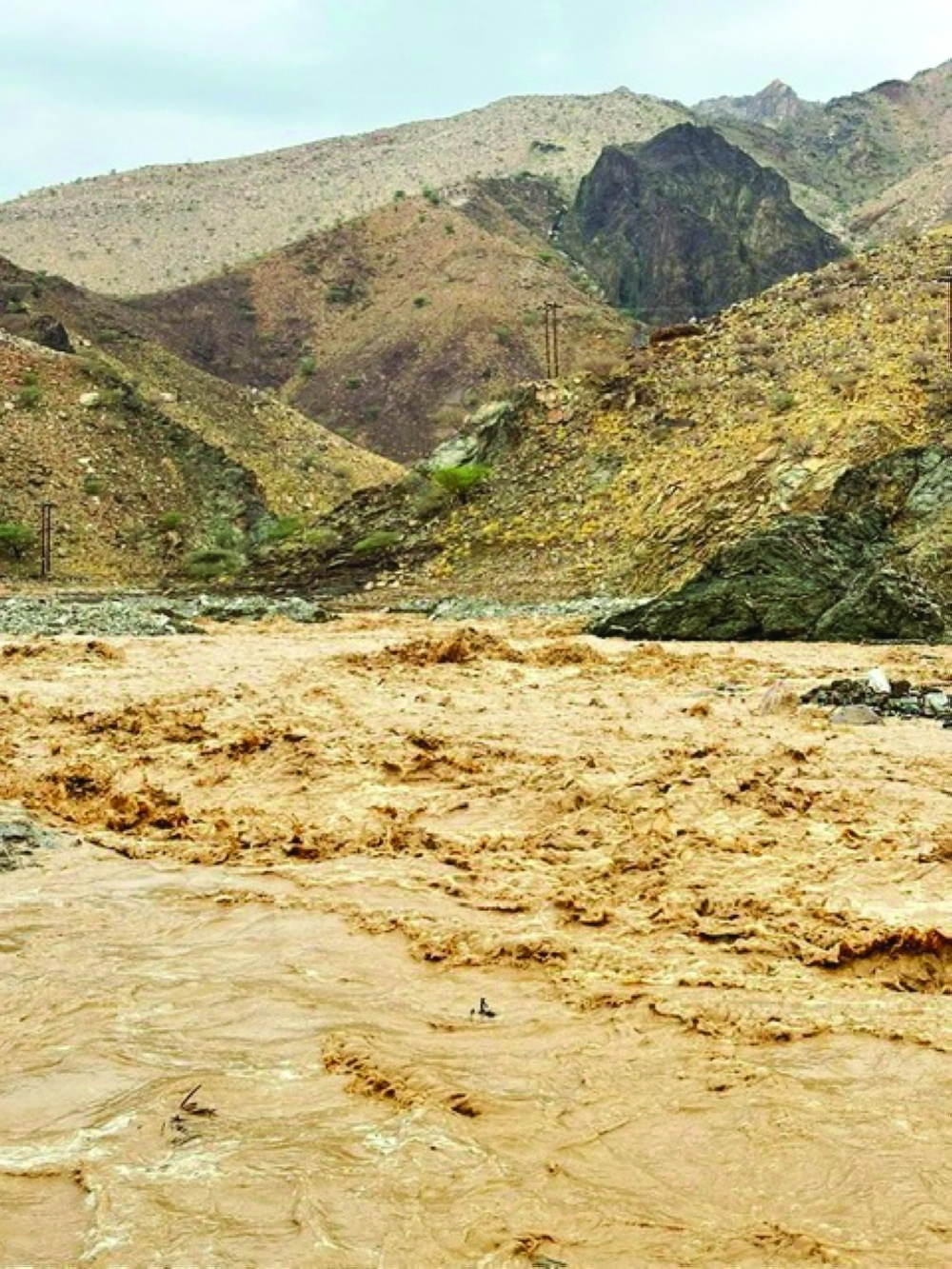 جريان الأودية في صحم 