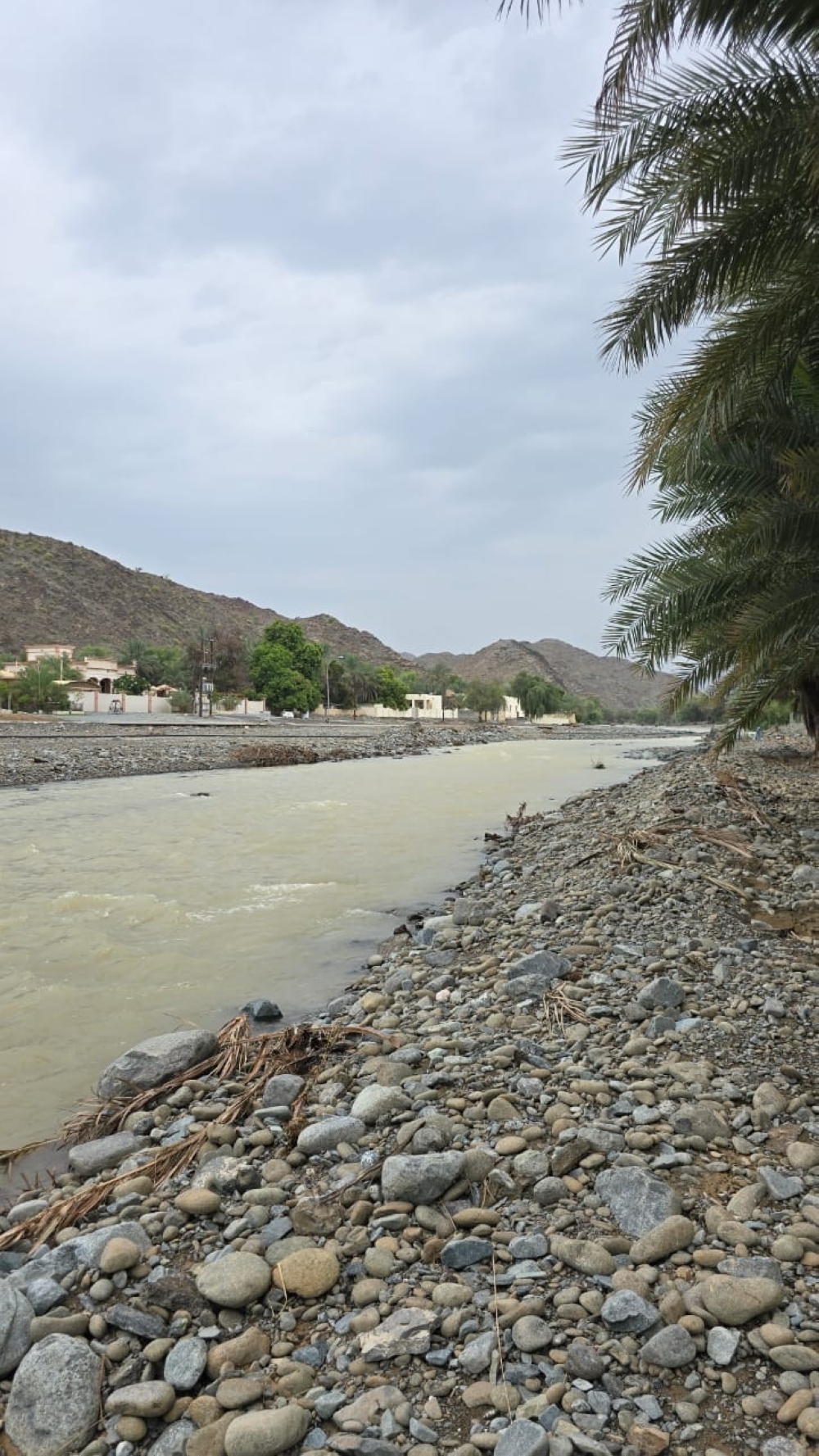 جريان الشعاب بصحار 