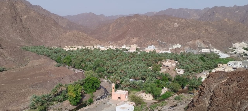 قرية المسفاة بولاية دماء والطائيين قرية صحية للمسنين