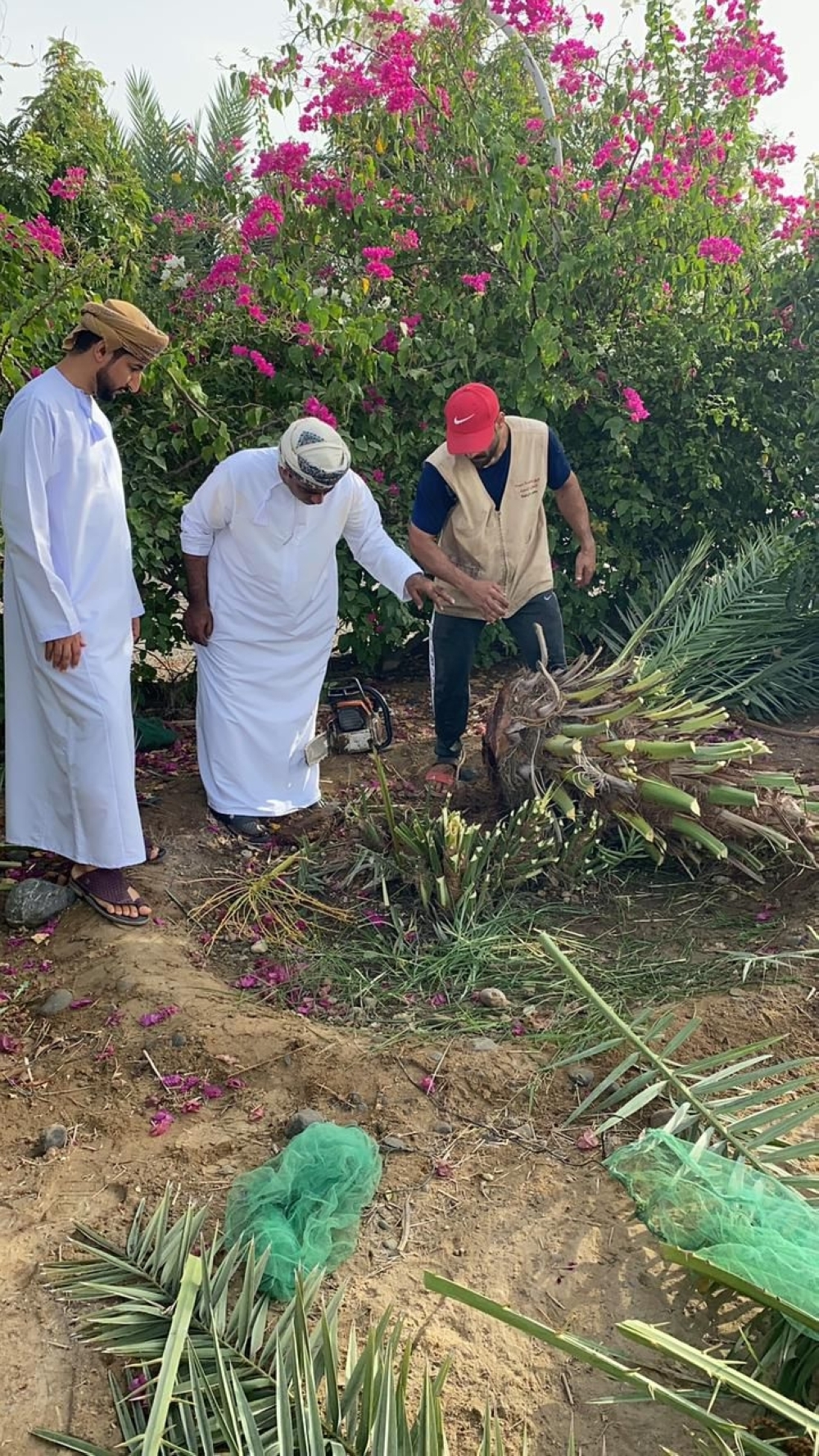 امس