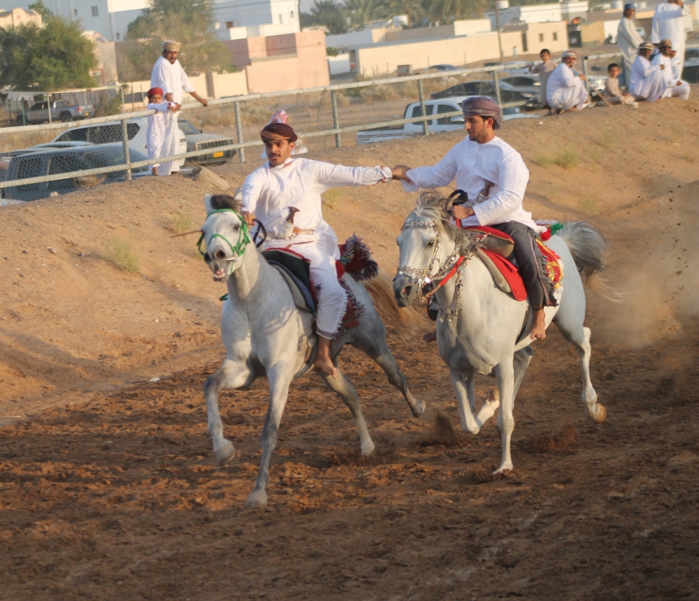 الفرسان يستعرضون مهاراتهم في سباق عرضة الخيل