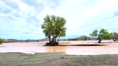 سلطنة عُمان – ينحسر منخفض المسرات غدا مع استمرار تأثيراته على محافظتي ظفار والوسطى