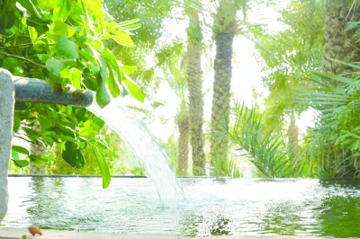 مزارعون يدمجون الأساليب القديمة مع الابتكار التقني