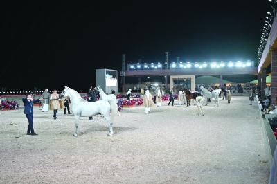 ختام المرحلة الثالثة لجولة الجياد العربية بمسقط