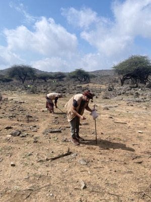 حملة لنثر بذور الأشجار المحلية في محافظة ظفار