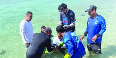 تدشين مشروع زراعة الشعاب المرجانية في محمية جزر الديمانيات الطبيعية