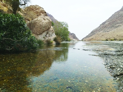 وادي الفتح بمحافظة الظاهرة.. متنفس طبيعي يجذب الزوار طوال العام