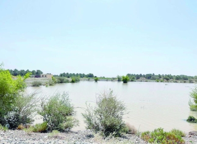 سد وادي قريات ببهلا.. نبض مائي متجدد ينعش الأرض ويبشر بموسم زراعي وفير