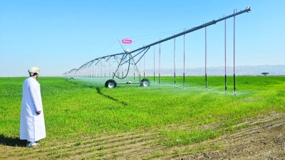 بمبلغ 50 مليون ريال عُماني.. مشروعاتٌ استثمارية في القطاع الزراعي بمحافظة الظاهرة