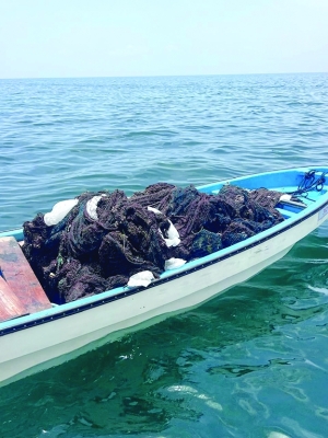 سلطنة عُمان – حملة لتنظيف بيئات الشعاب المرجانية في محمية جزر الديمانيات