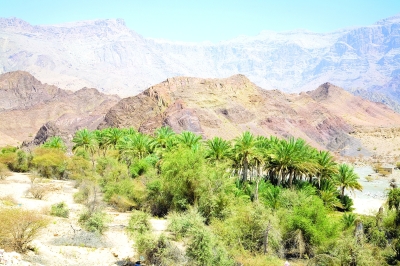 "ماء الحَجَرْ".. مفردات الماء ودلالاتها في جبال الحَجَرْ بالإمارات وسلطنة عُمان