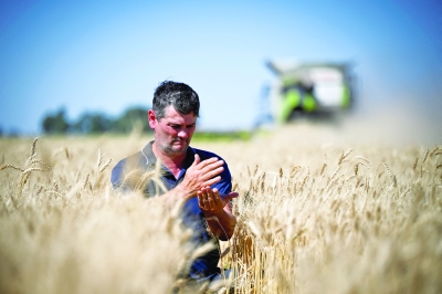 خبراء : إنتاج الغذاء العالمي في خطر