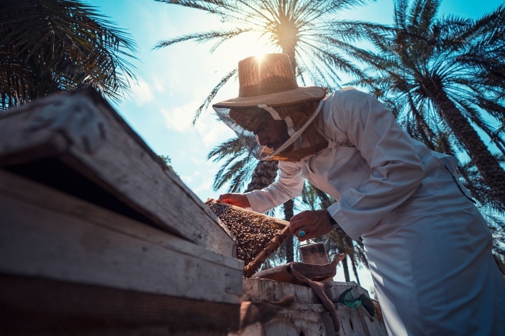 158 ألف كيلوجرام إجمالي إنتاج العسل المحلّي بمحافظة شمال الباطنة في 2025