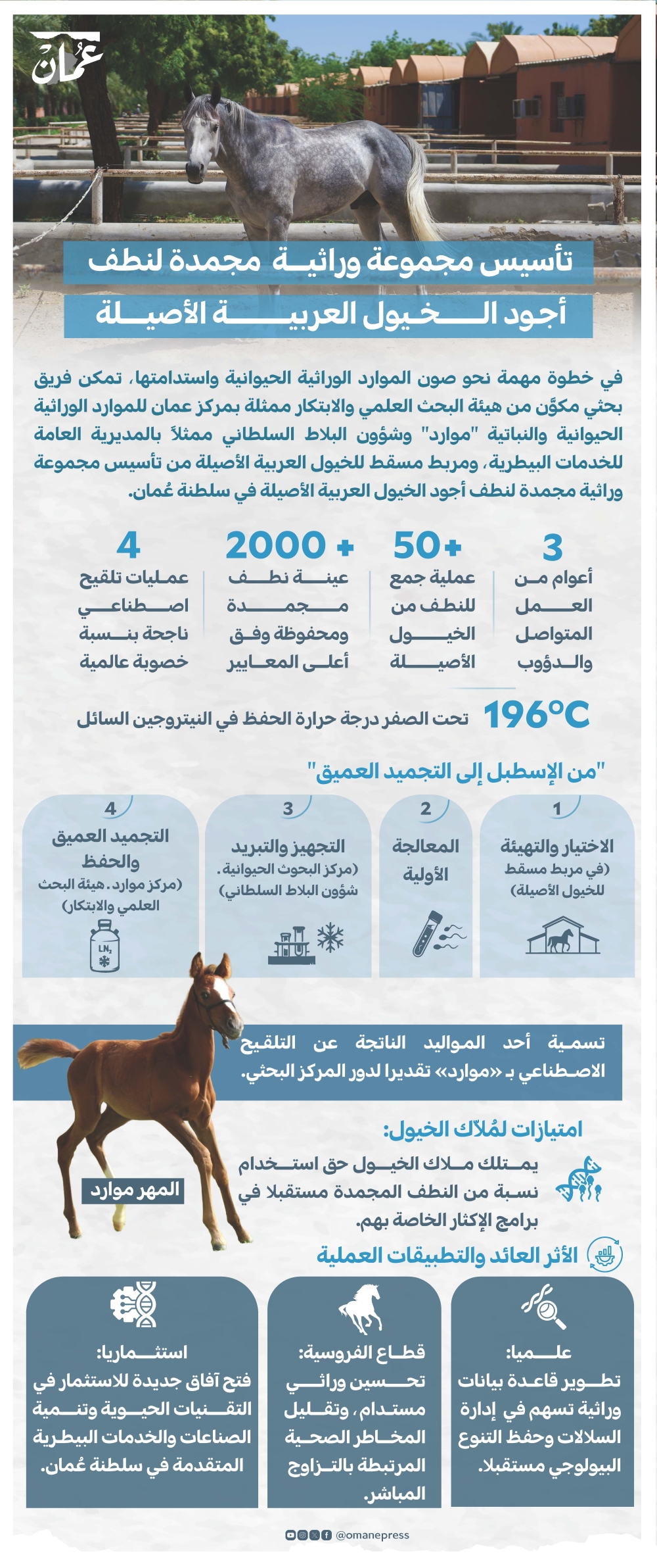 الخيول