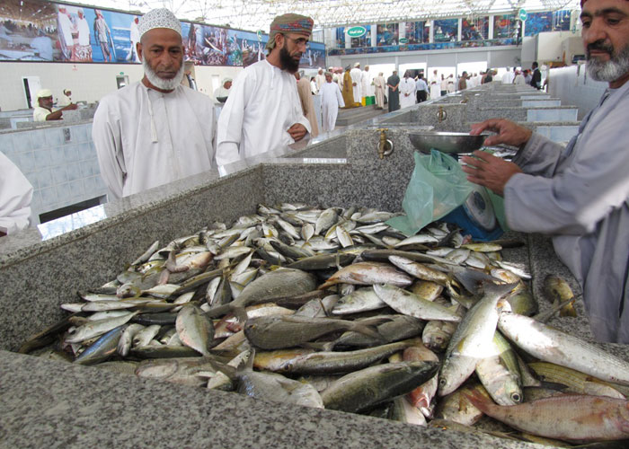 _31549_oman3