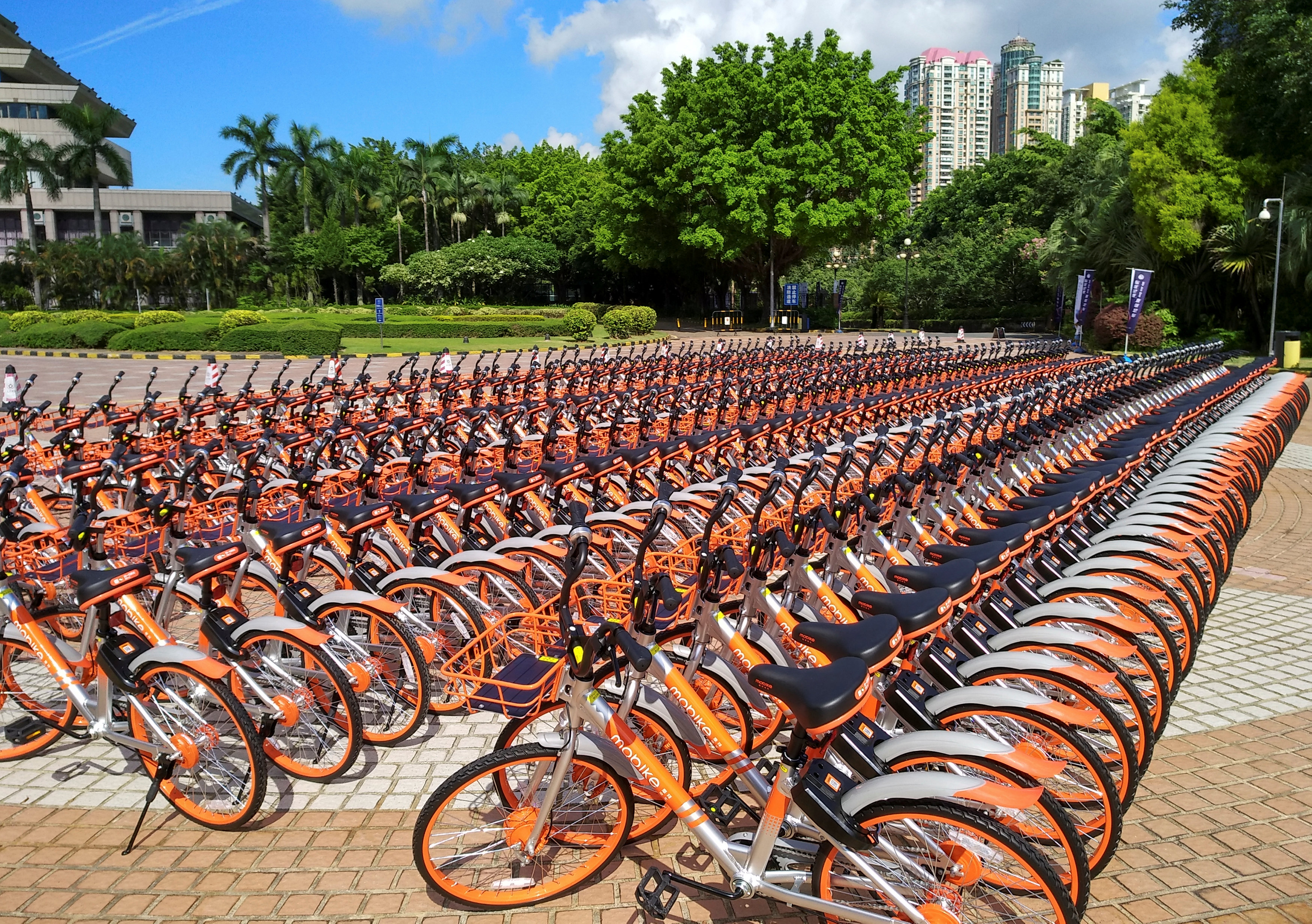 Mobike's shared bikes are lined up in Shenzhen