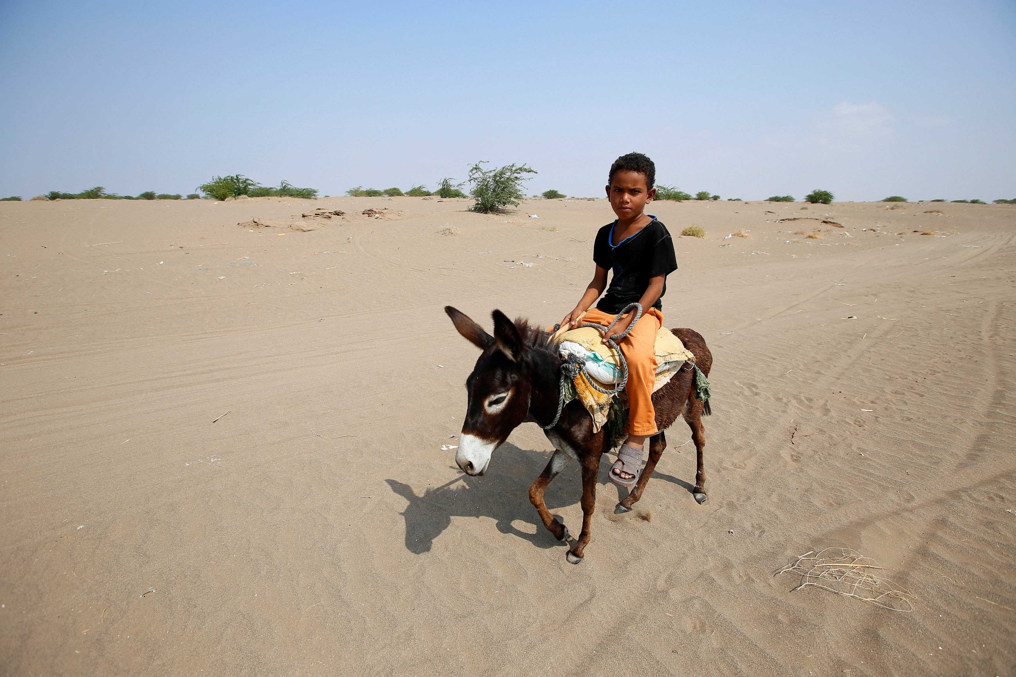 A boy rides a donkey on the outskirts of the Red Sea port city of Hodeida