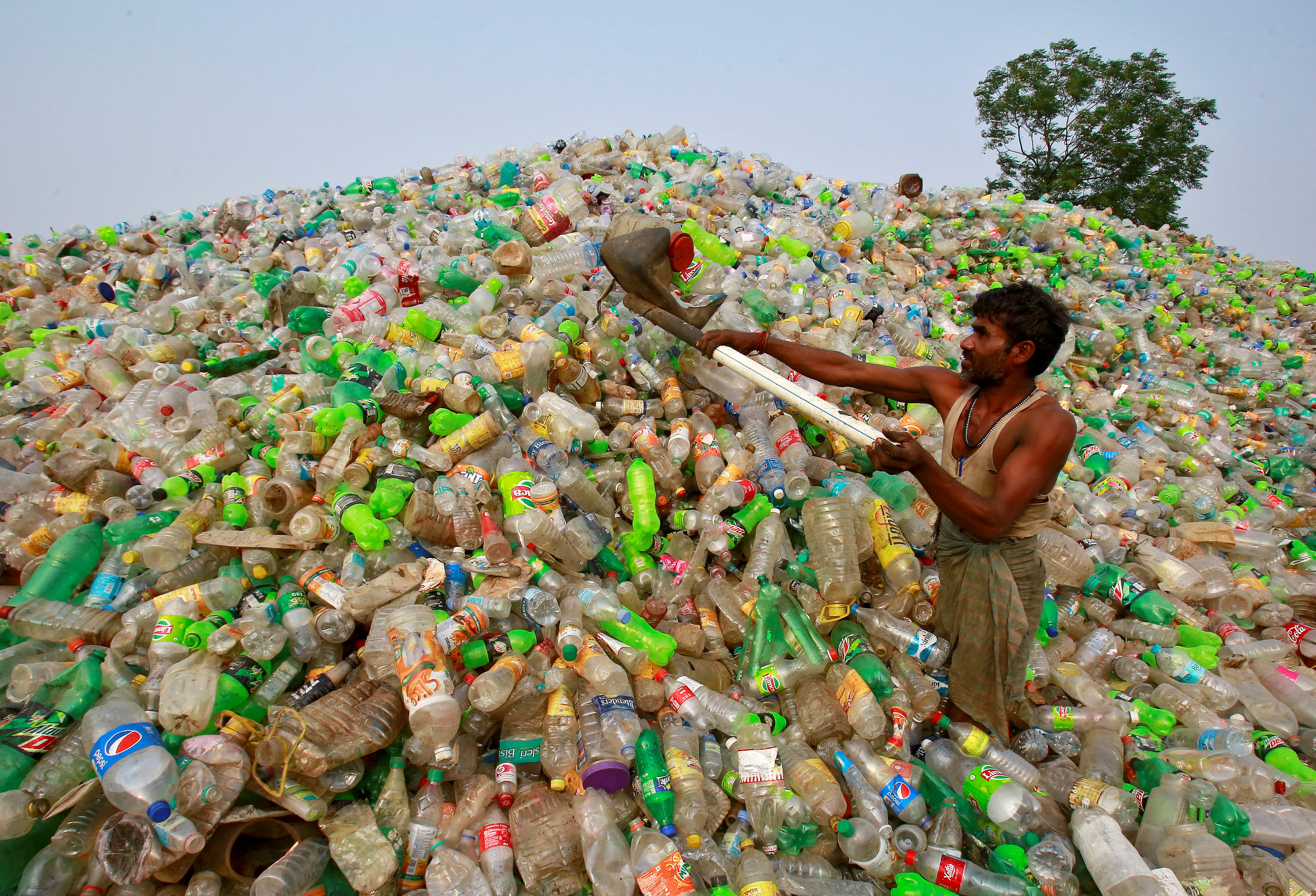 A man makes a heap of plastic bottles at a junkyard on World Environment Day in Chandigarh