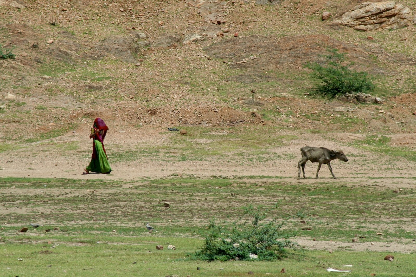 famine-and-drought-in-indian-desert-1348966