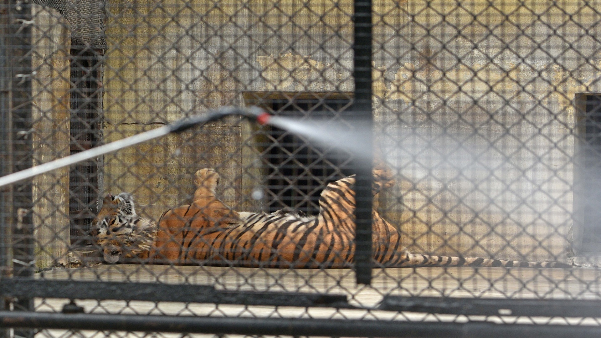 Sanitation Drive During Three Week Lockdown To Stop Spread Of Coronavirus COVID-19