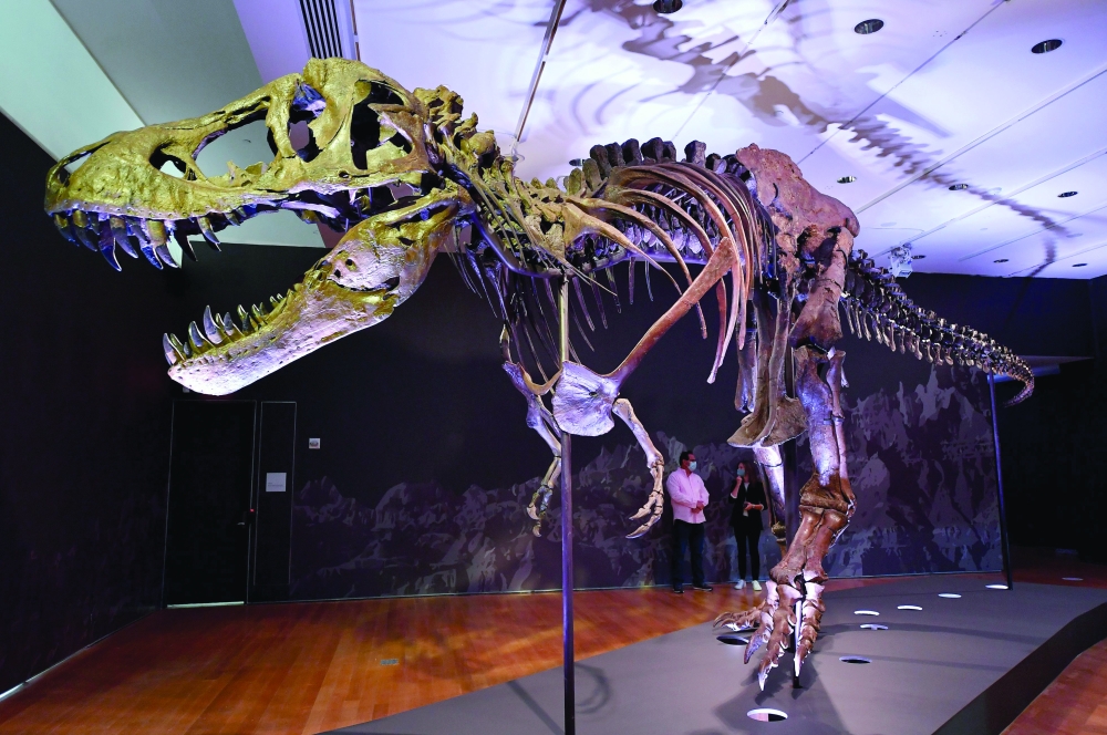 US-PALEONTOLOGY-AUCTION