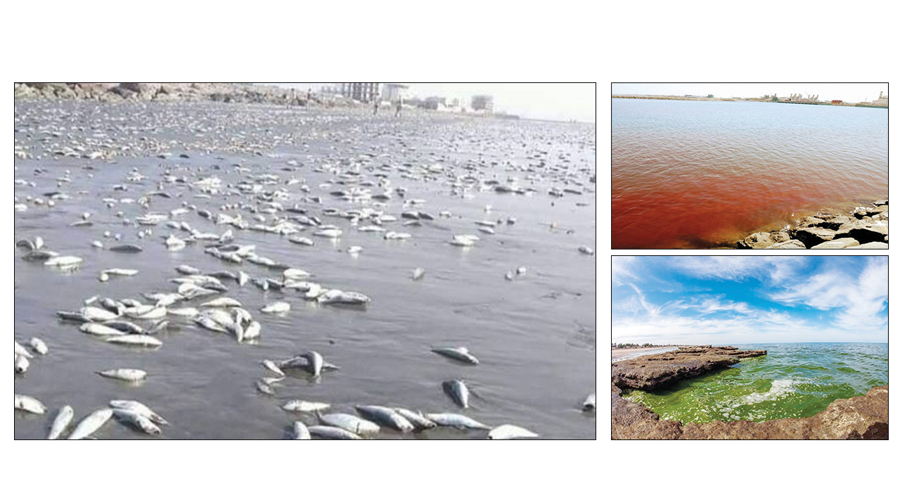 ٣٤٥٦٧ 2-Recovered.psd3rr