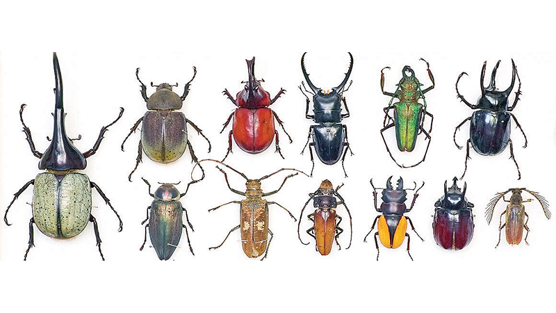 1-Recovered.١ث٢ث١٢