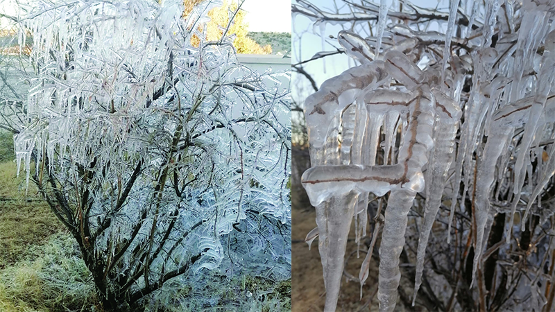 بهيلتهثخقتل