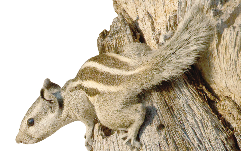 283120_ECO_03-02-2021_p03-1