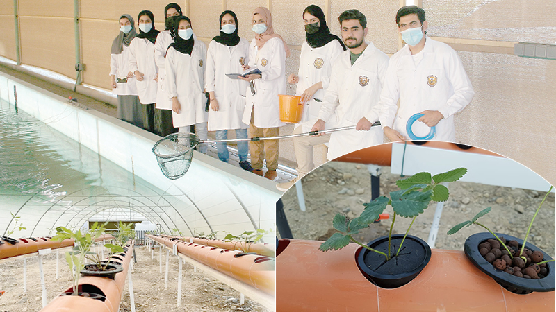 1-ص٤فص٢ف٣٤-Recovered