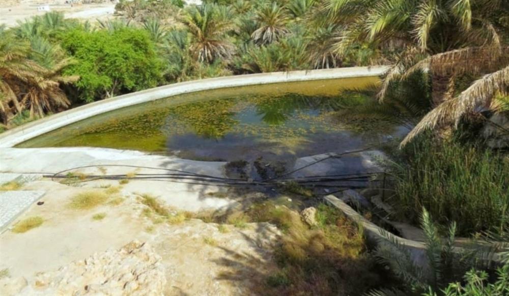 97379d15-8349-4b14-ae10-4c313c726254