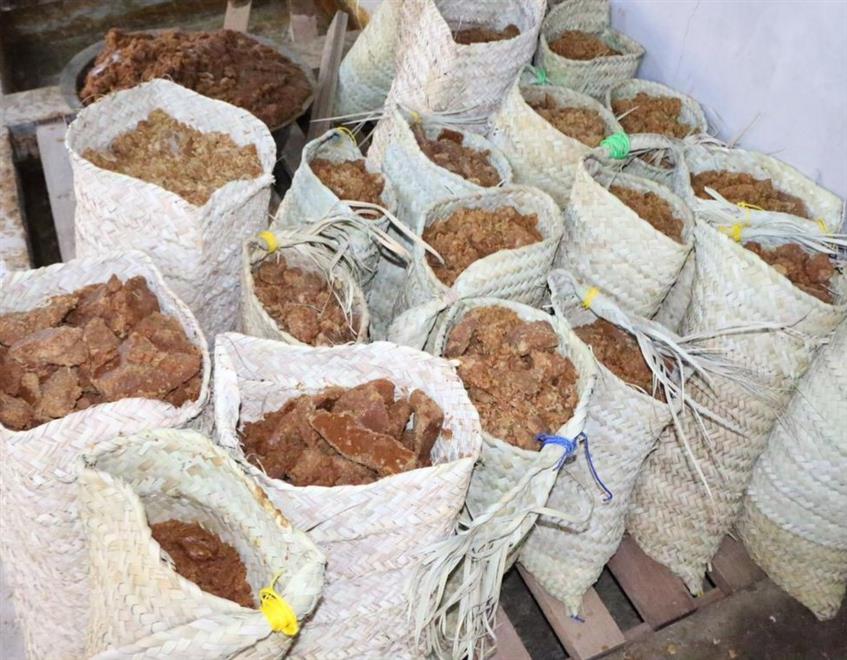 صناعة-السكر-الأحمر-بولاية-منح-07