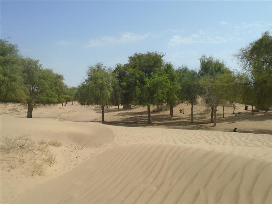 الطبيعة-الخلابة-بولاية-جعلان-بني-بوعلي