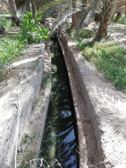 تقرير-حول-صيانة-ونظافة-الافلاج-العمانية-2