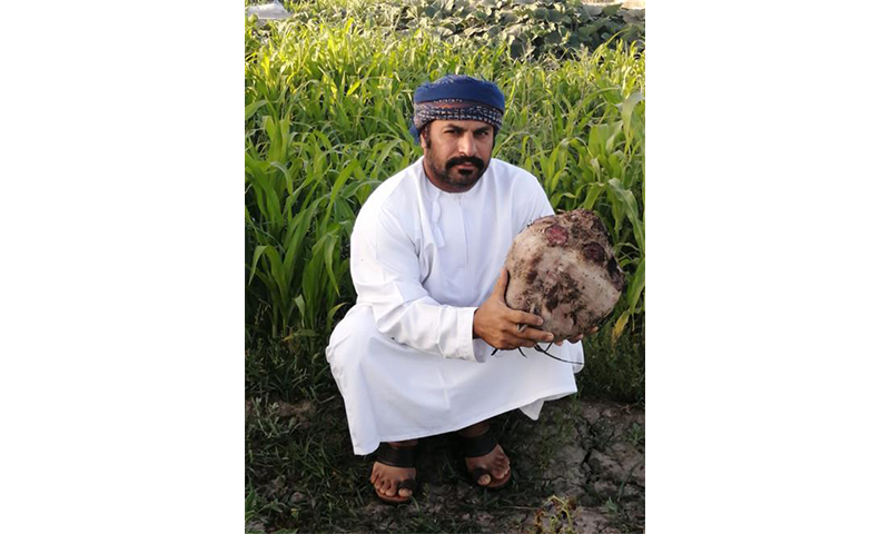 طذيذيسبديس