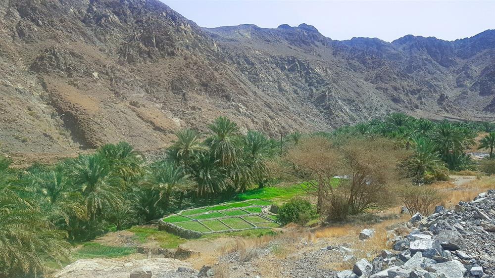 قرية-الثقبة