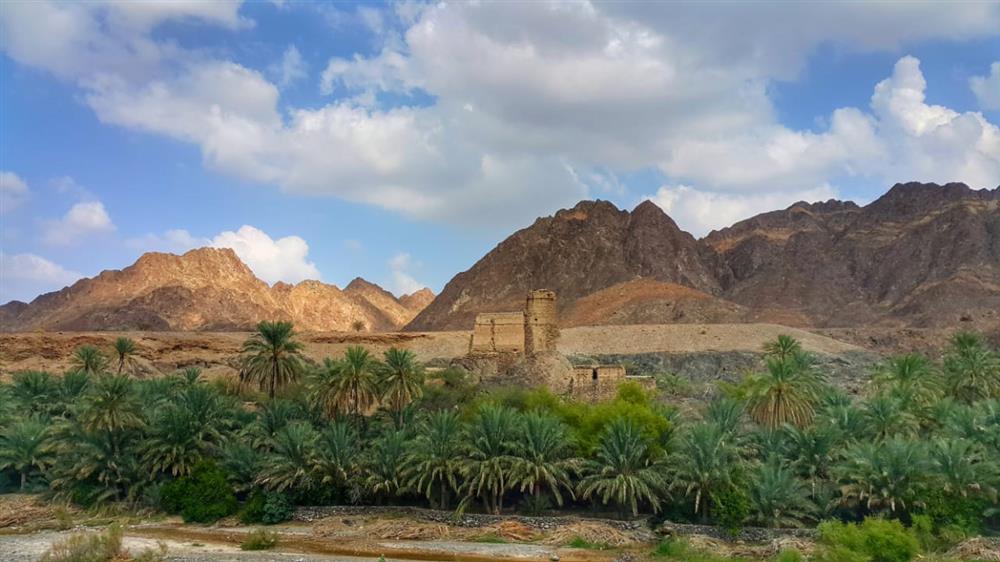 وادي-الحواسنة-1